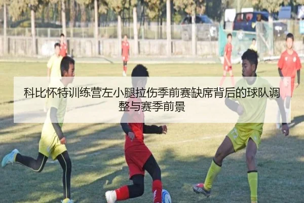 科比怀特训练营左小腿拉伤季前赛缺席背后的球队调整与赛季前景